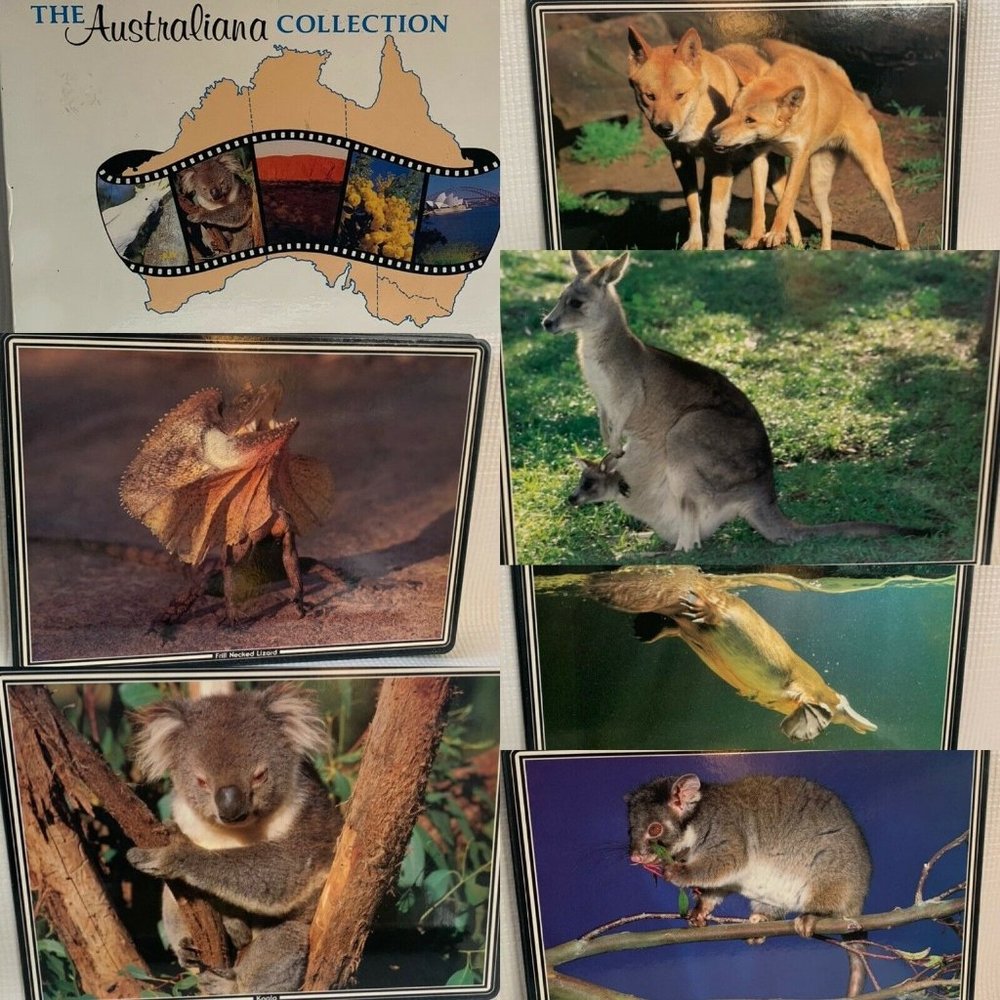 The Australiana Collection boxed Animal placemats Cork backs Set